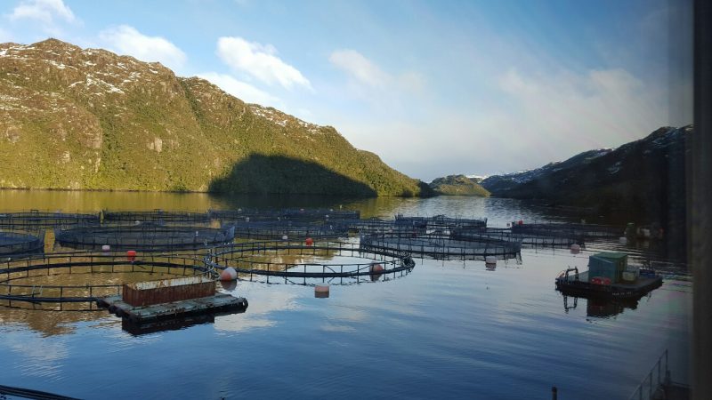 Nova Austral recibe certificación “Huella Chile” de cuantificación de gases de efecto invernadero