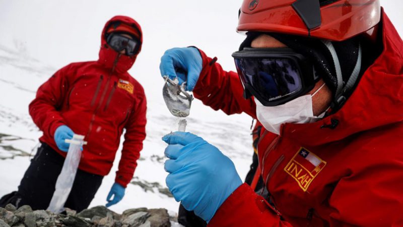 Proyectos de Investigación en la Estación Polar Científica conjunta “Glaciar Unión”