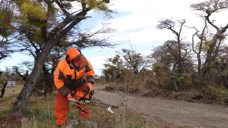 CONAF finaliza proyecto de intervención en Parque Municipal Chabunco de Punta Arenas