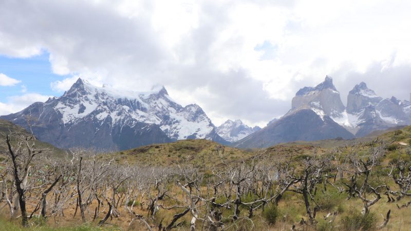 CONAF expulsa del Parque Nacional Torres del Paine a dos turistas por usar cocinilla en lugar no habilitado