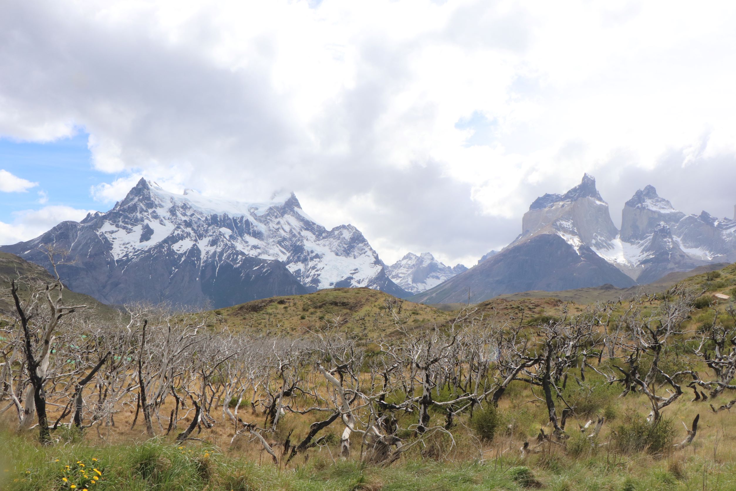 CONAF expulsa del Parque Nacional Torres del Paine a dos turistas por usar cocinilla en lugar no habilitado