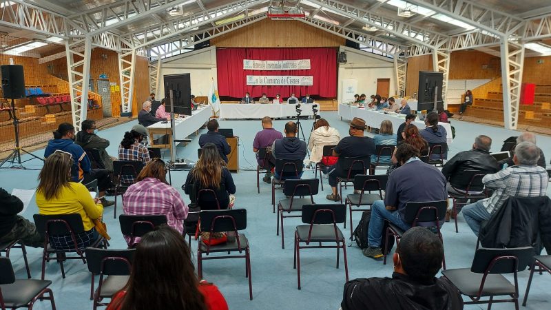 Convencional Elisa Giustinianovich propone “Estado Regional Autónomo” como nueva forma de organización territorial