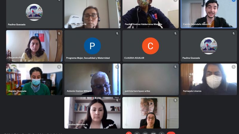 Comité Regional de Salud Joven realizó jornada de evaluación de acciones desarrolladas el 2021