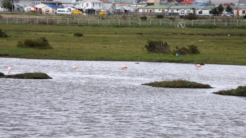 Ministro del Medio Ambiente firma declaración de Humedal Urbano Tres Puentes
