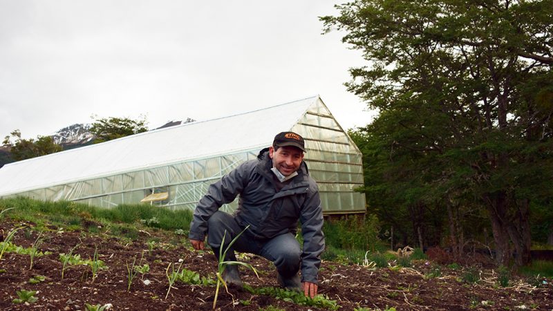 Crece autoabastecimiento y comercialización de hortalizas frescas en Puerto Williams