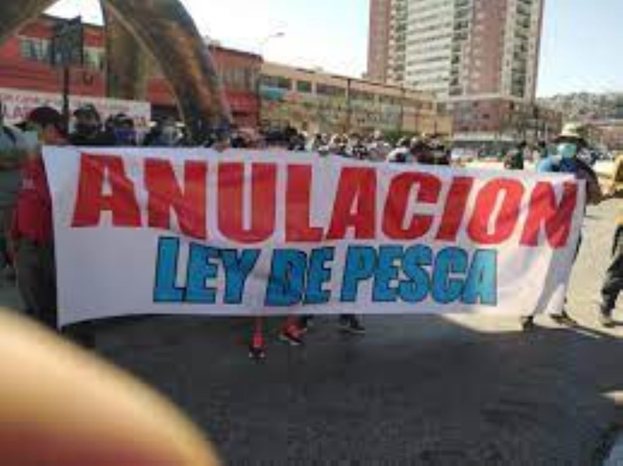 Pescadores artesanales rechazan nueva maniobra de Senador Quinteros a favor de la industria pesquera