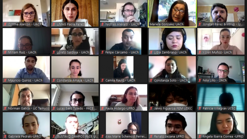 II Encuentro Macrozona Sur Red PACE