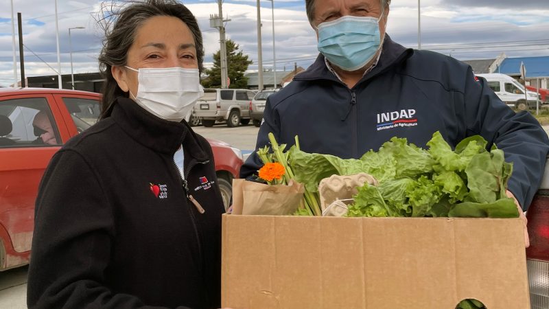Música en vivo y concursos tendrá el Mercado Campesino de INDAP