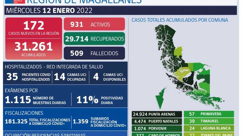 Magallanes: Sistema Epivigila registra 172 casos nuevos de Covid-19