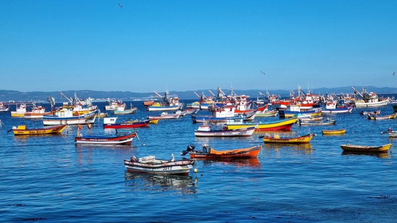 Realizarán primera consulta ciudadana sobre la salud del océano en Chile