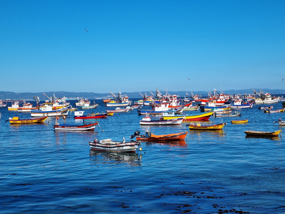 Realizarán primera consulta ciudadana sobre la salud del océano en Chile