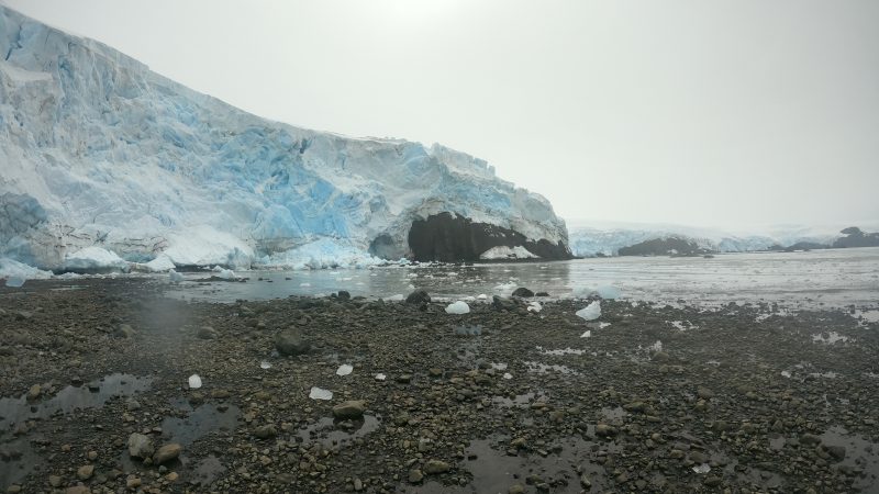 Estudio monitorea el fitoplancton antártico durante la primavera y el inicio del verano austral