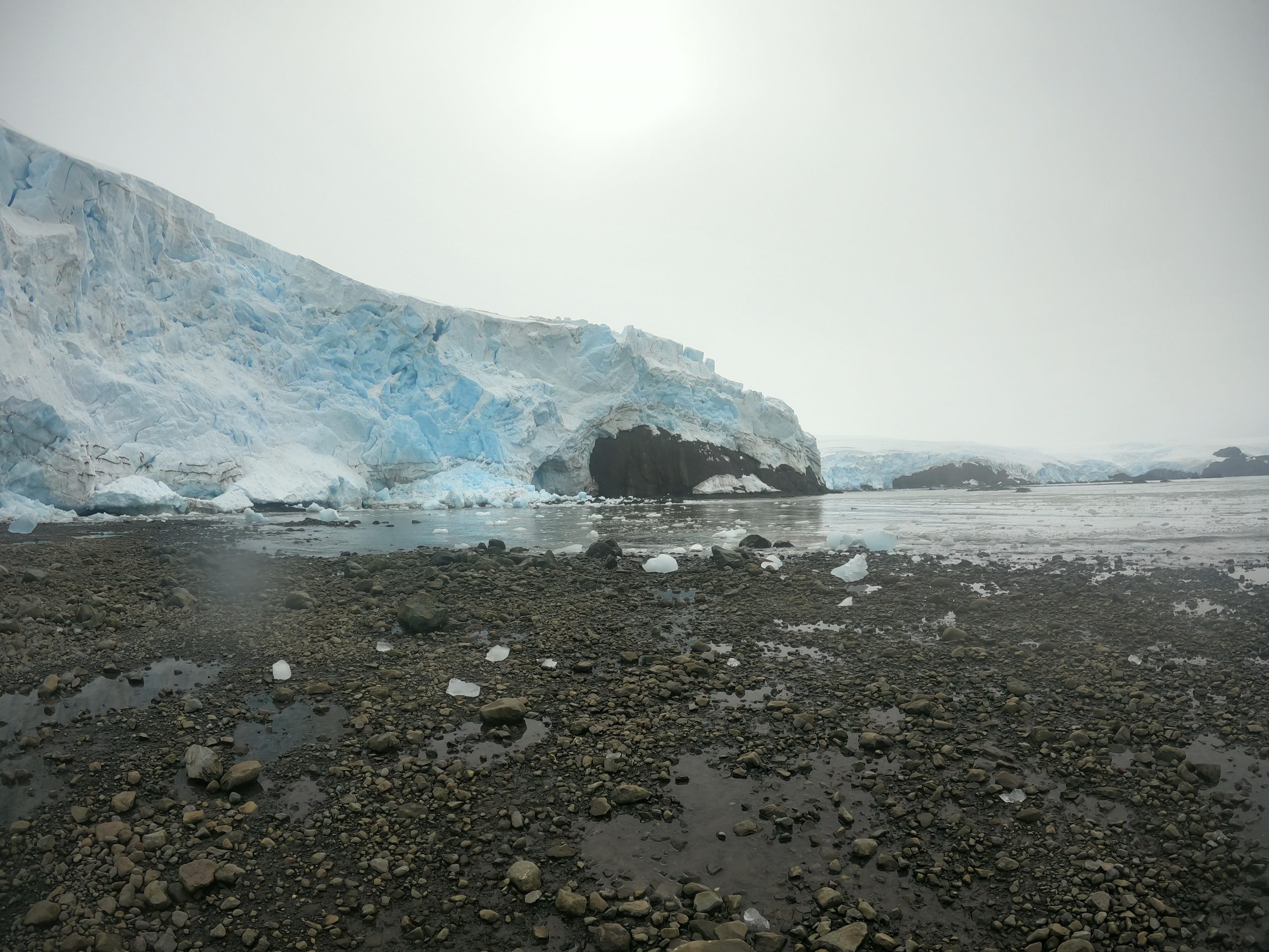 Estudio monitorea el fitoplancton antártico durante la primavera y el inicio del verano austral
