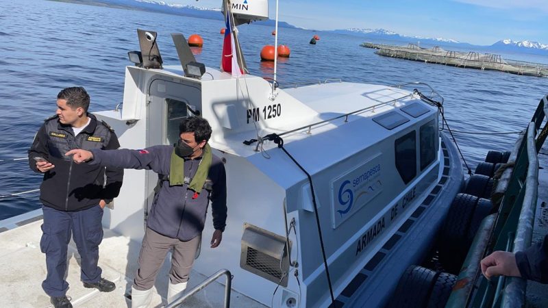 Sernapesca confirmó escape desde centro de cultivo y presentó denuncia ante la SMA