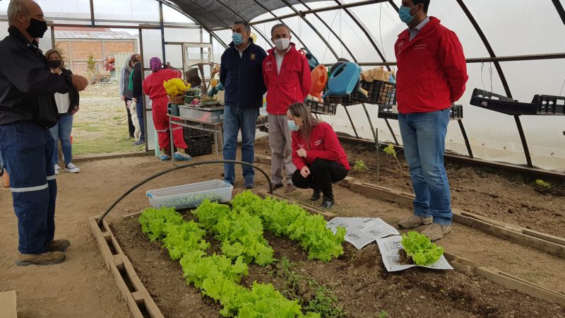Ministerio del Medio Ambiente financiará 145 iniciativas ciudadanas para 2022 con el Fondo de Protección Ambiental