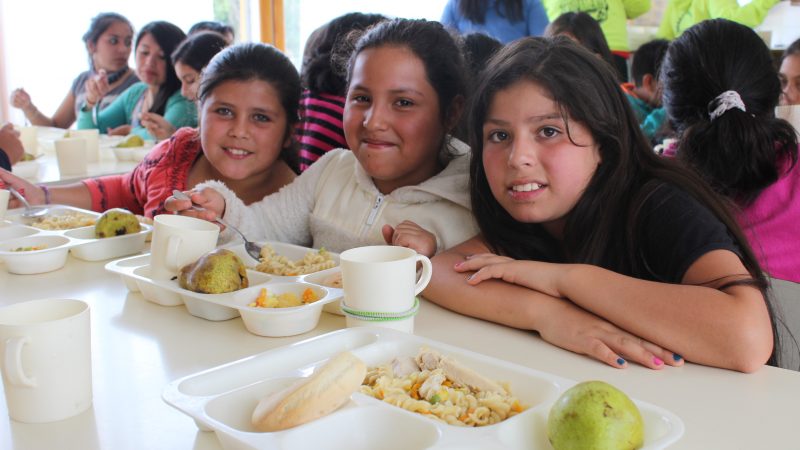 Tras licitación Junaeb: en marzo comienzan nuevos cambios en el Programa de Alimentación Escolar