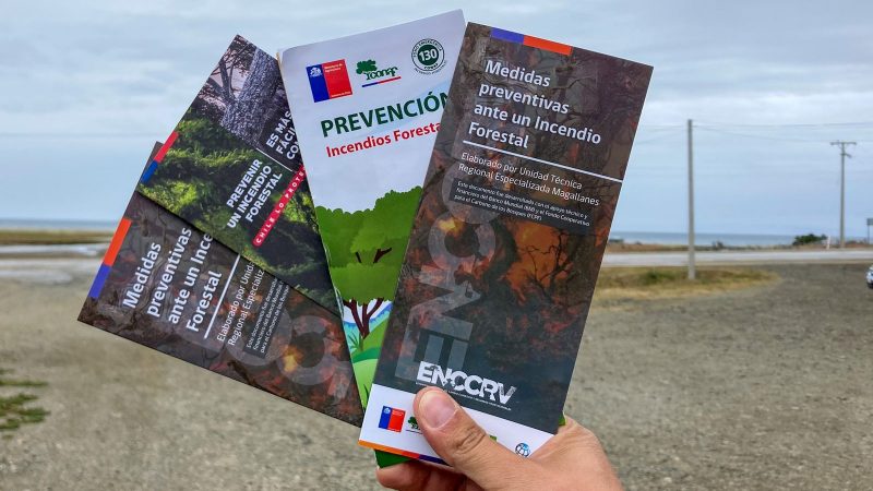 Gobierno llama a extremar medidas para evitar incendios forestales en Magallanes durante temporada estival