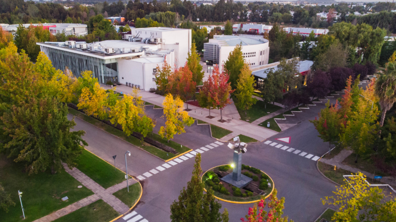 Estudio de la Universidad de Talca revela diferencias en el ingreso de migrantes y refugiados venezolanos según zona del país donde residen