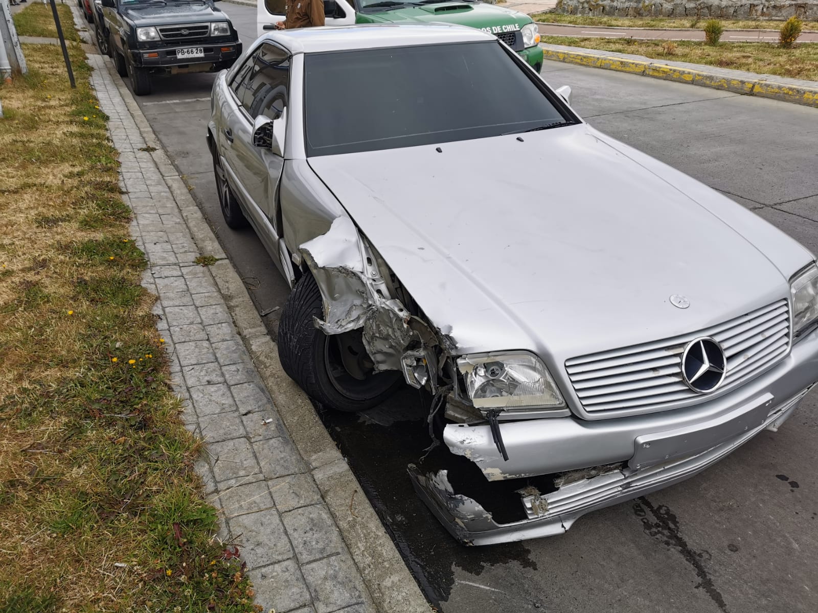 Fiscalía instruyó a la SIP y LABOCAR de Carabineros iniciar diligencias para el caso del chofer que circulo por la veredera de Lautaro Navarro.