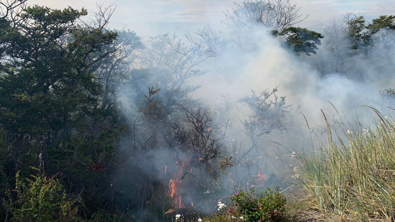 Se investiga quema intencional de pastizal en la ruta 9 sur de Punta Arenas