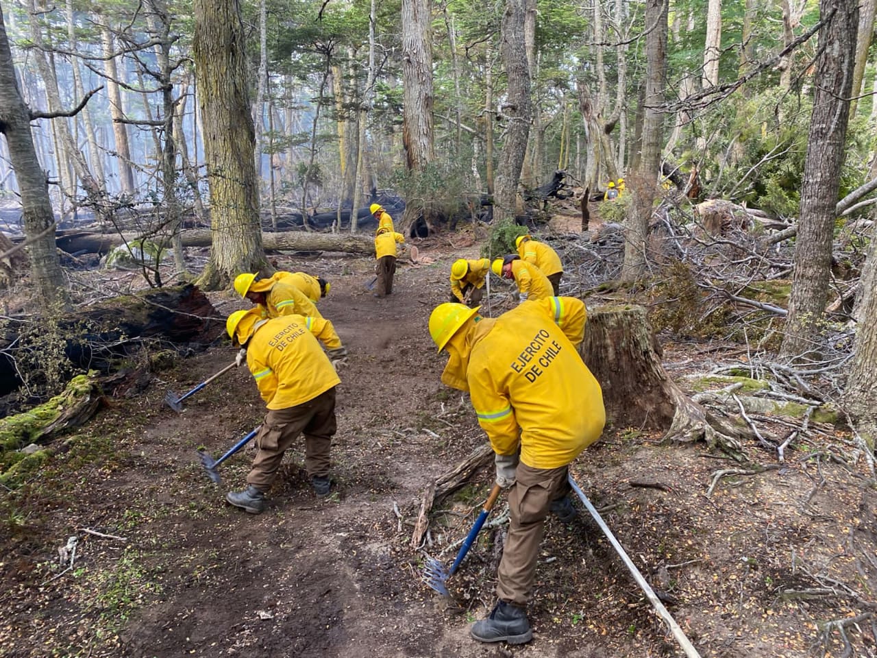 Intensa labor del Ejército en incendio forestal de Timaukel en Tierra del Fuego