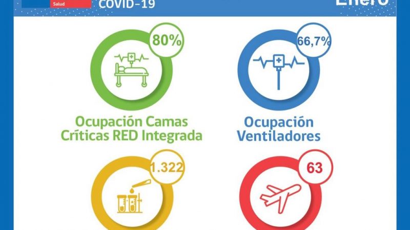 Situación de la red integrada Covid19 en Magallanes, al martes 25 de enero