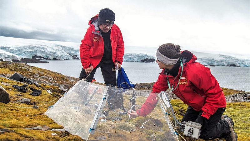 Comprendiendo los sistemas biológicos terrestres de la Antártica en un clima cambiante