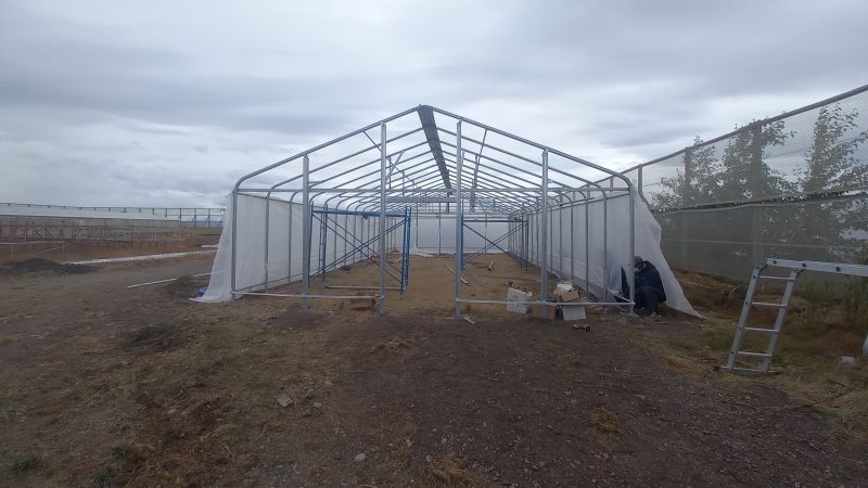 Se construye invernadero experimental en Puerto Natales, con energías renovables no convencionales