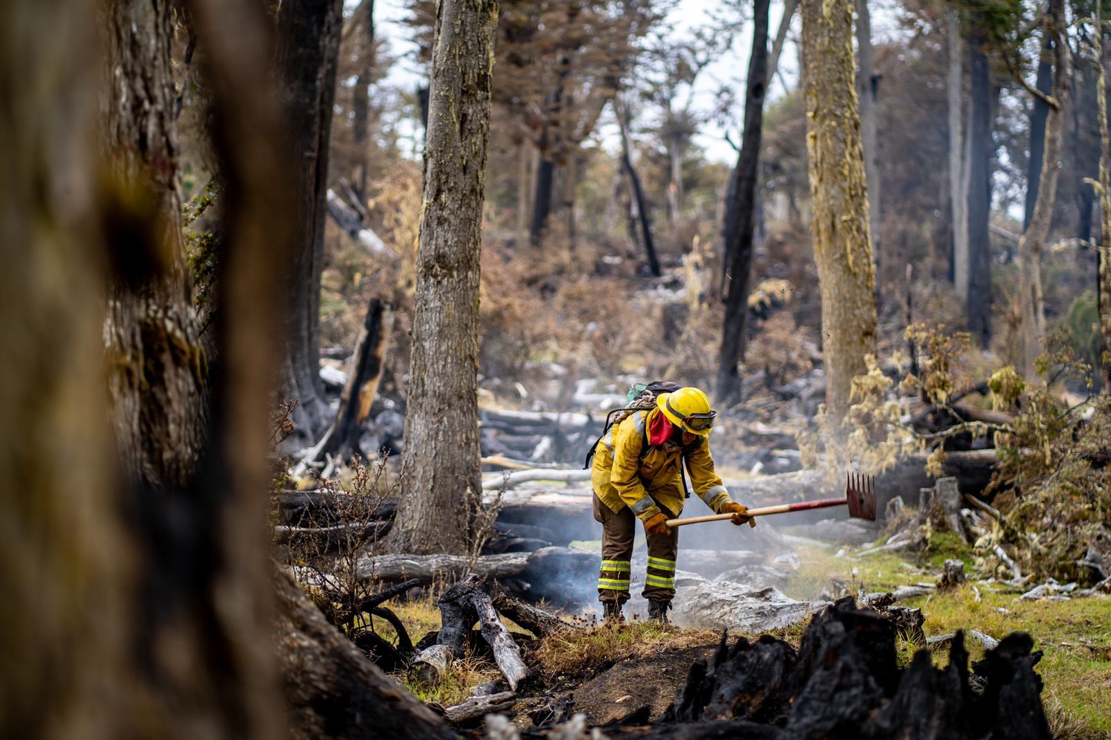Delegada Presidencial Jenniffer Rojas constata en terreno incendio forestal en Timaukel que no ha tenido expansión