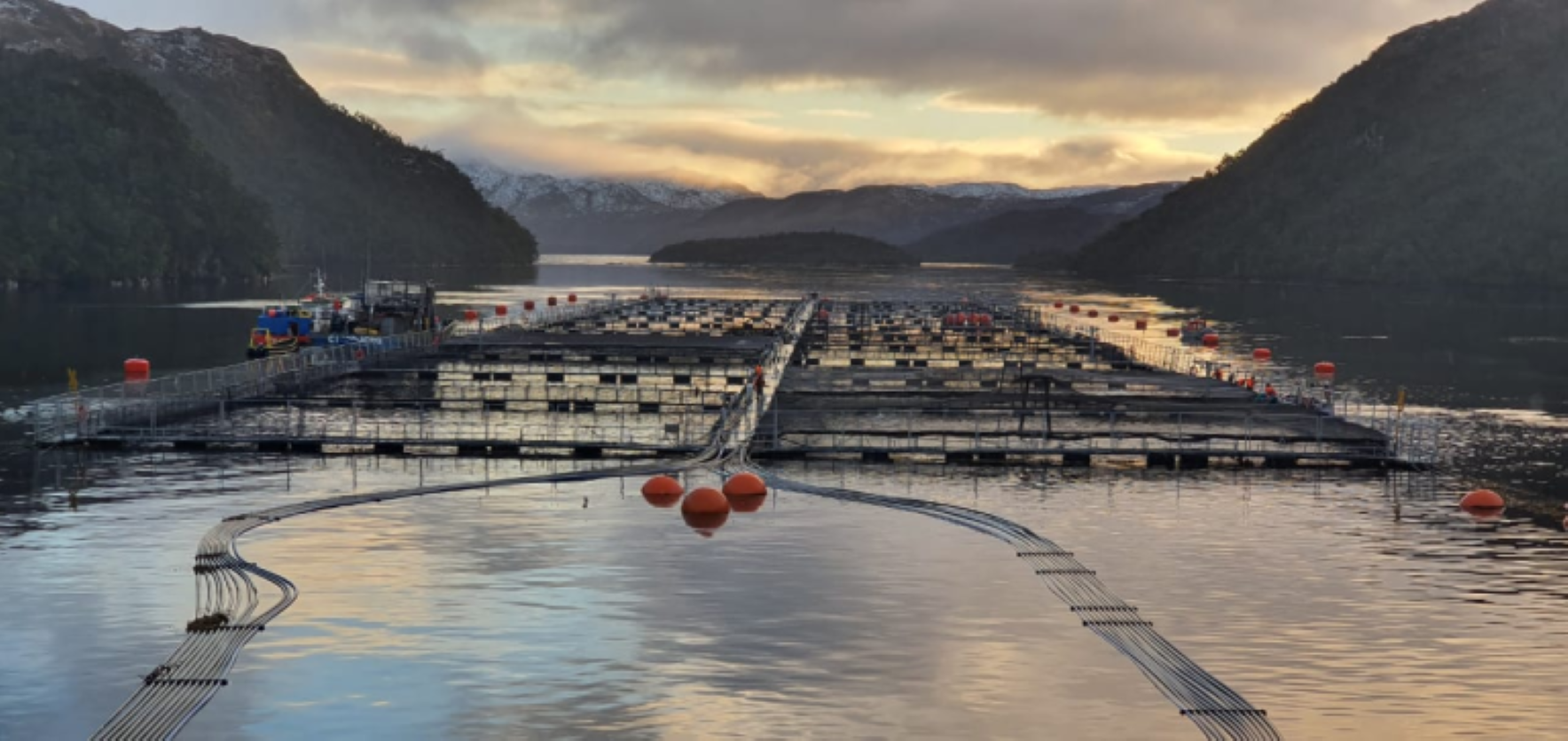 Empresa salmonera Nova Austral logró dos nuevas acreditaciones internacionales