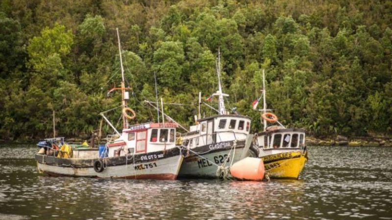 Gremios de la pesca artesanal reaccionan ante nombramiento de nuevo Subsecretario de Pesca y Acuicultura