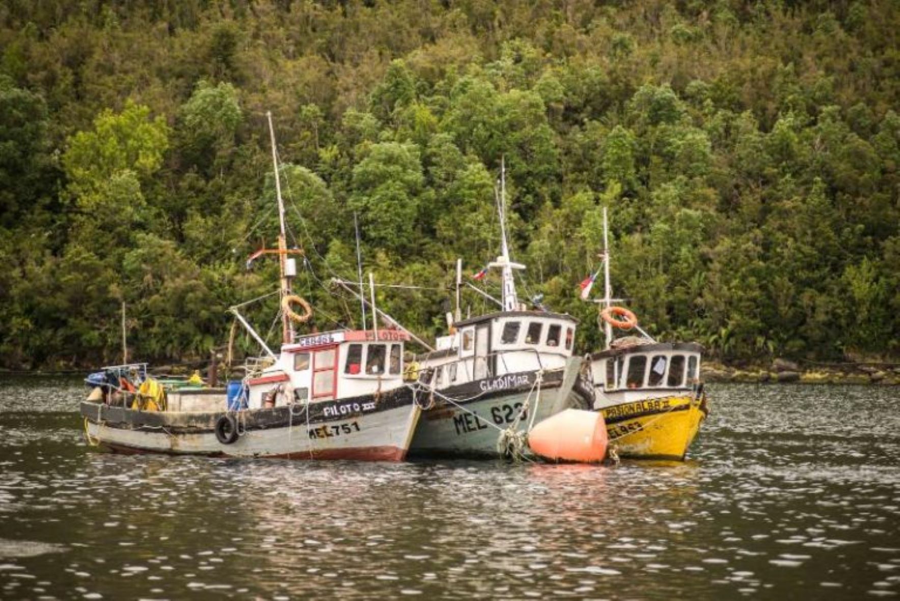 Gremios de la pesca artesanal reaccionan ante nombramiento de nuevo Subsecretario de Pesca y Acuicultura