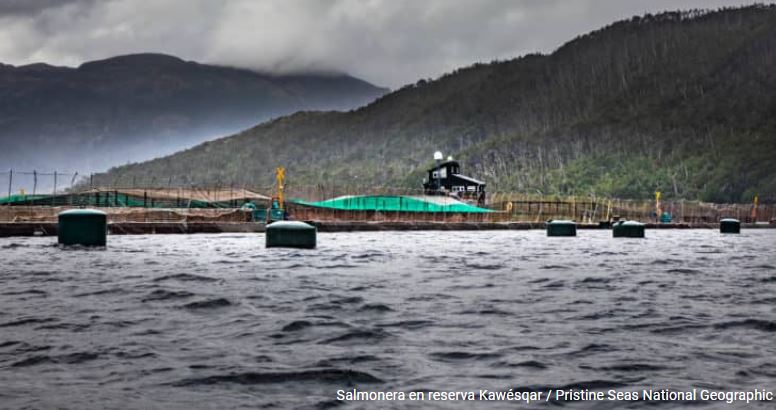 Corte Suprema acoge recurso de protección respecto de relocalización de centro de cultivo en Parque Kawesqar en la región de Magallanes