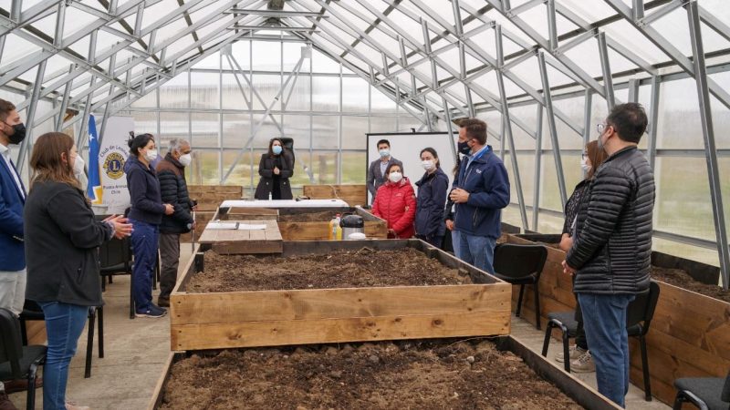 Fundación Magallania inaugura nuevo invernadero inclusivo en el Centro «Quemanta» de Punta Arenas, orientado a la agroterapia