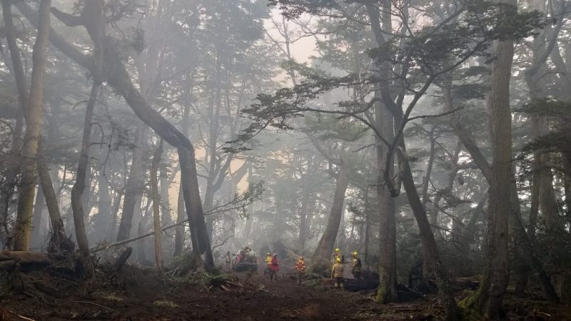Incendio en Timaukel parcialmente contenido y combatientes en alerta por anuncio de fuertes rachas de viento