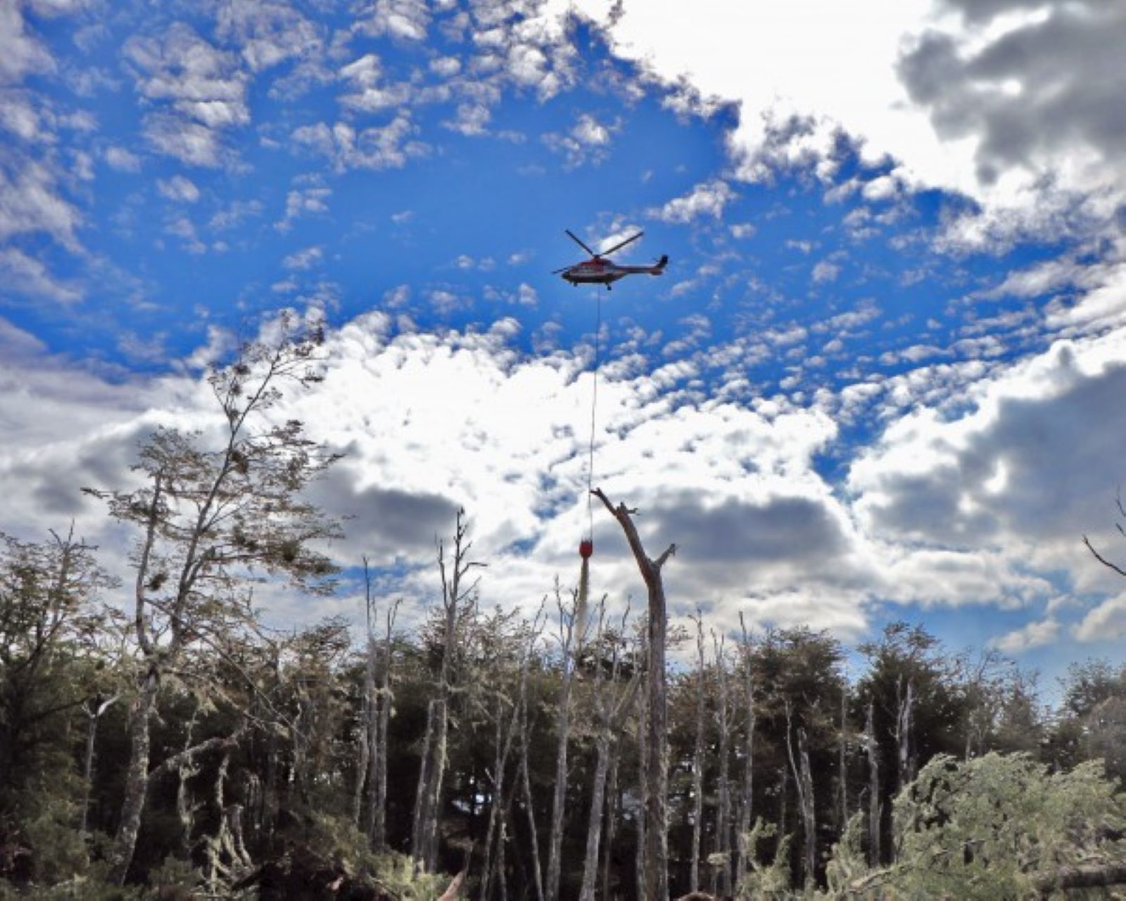Se bajó la Alerta Amarilla por incendio forestal en Timaukel