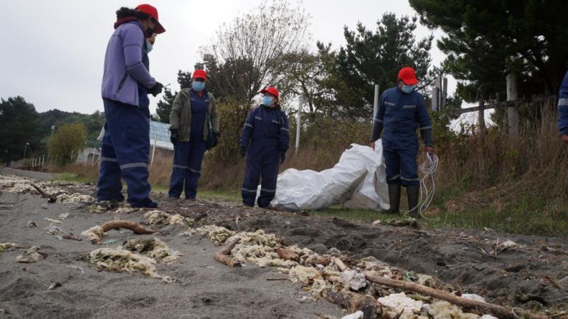 Empresas salmoneras en Magallanes difunden balance de actividades de limpieza de costas