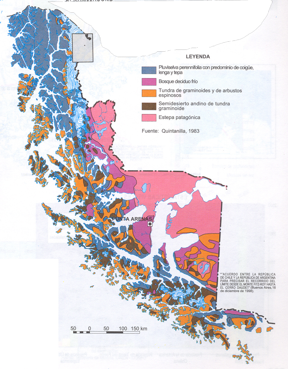 Monitoreo estado de las rutas y condición meteorológica, región de Magallanes, sábado 12 de febrero
