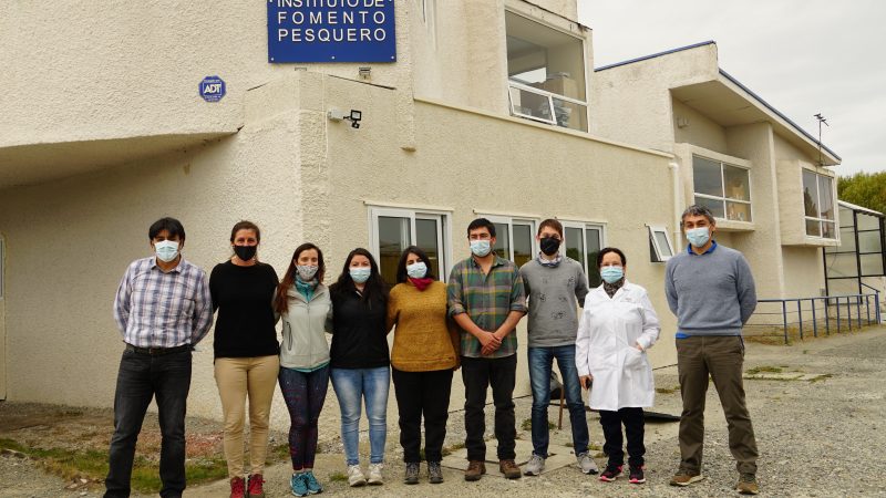 Workshop científico estandarizó las bases para el estudio de los ecosistemas marinos de la Patagonia