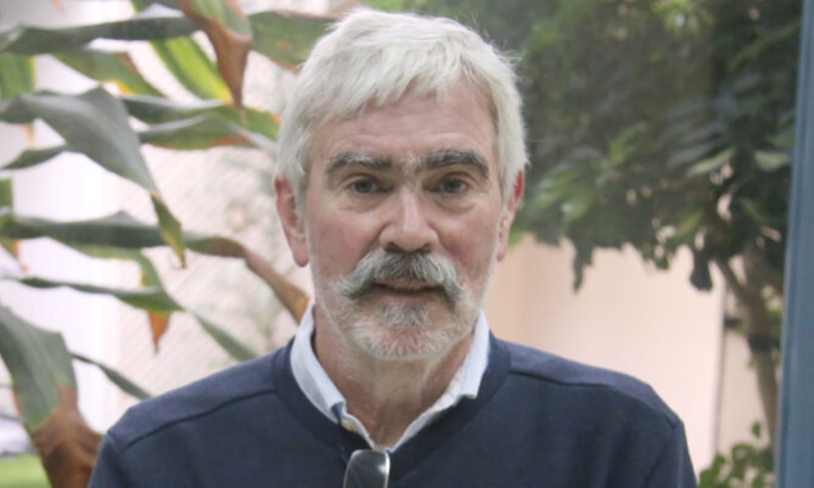 Violencia contra la mujer: prevenirla es mejor que sufrir sus consecuencias – Marcelo Trivelli – Opinión