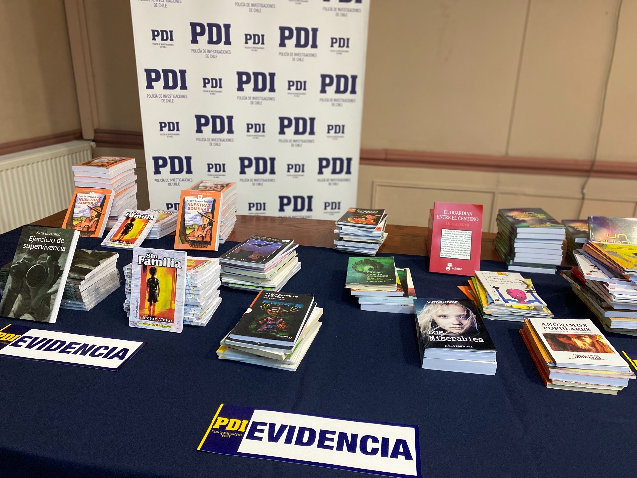 PDI Punta Arenas incauta más de 600 libros por infracción a la Ley de Propiedad Intelectual