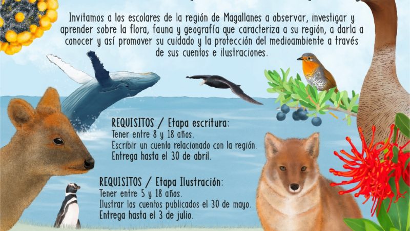 Fundación Teraike lanza su concurso regional escolar 2022 “Jóvenes talentos de Magallanes, naturaleza austral”