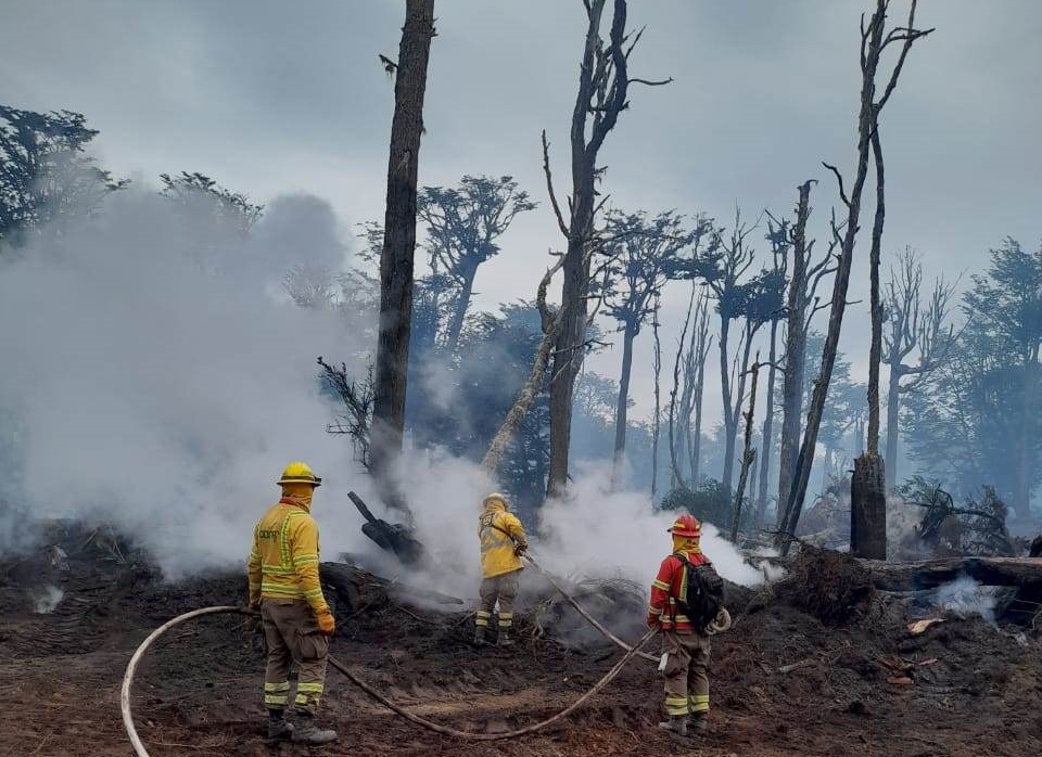 CONAF realiza encuesta para conocer percepción de la comunidad regional sobre los incendios forestales