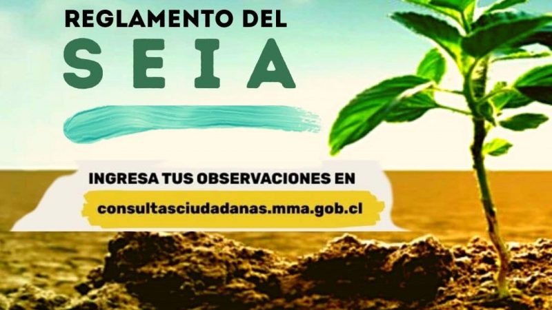 Se invita a revisar propuesta que modifica el reglamento del Sistema de Evaluación de Impacto Ambiental