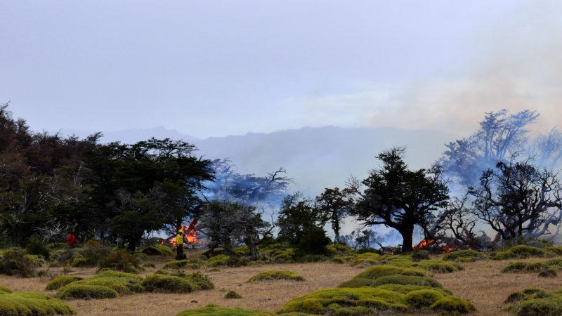 CONAF expulsa a dos turistas por uso de cocinilla en el Parque Nacional Torres del Paine