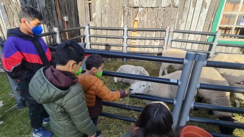 Director de INIA Kampenaike destaca el interés de las personas por conocer sobre ciencia y tecnología aplicada al campo en Magallanes