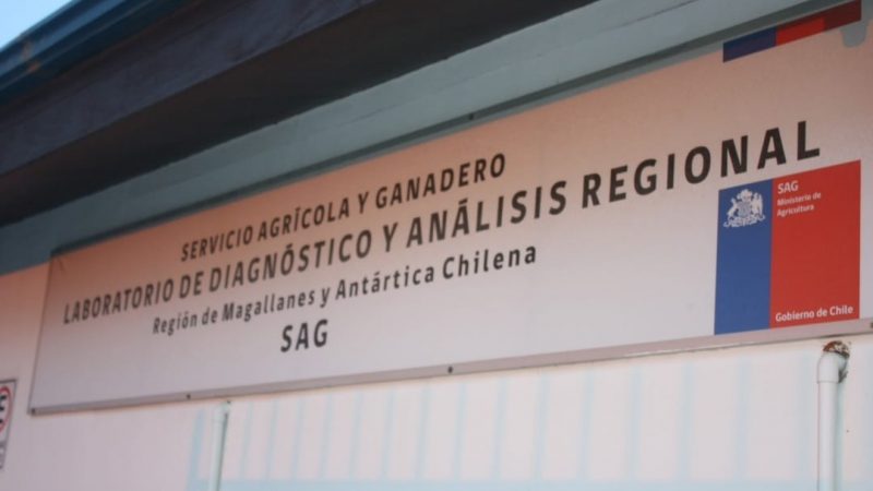 AFSAG Regional Magallanes denuncia entrega de comodato de bien inmueble de las dependencias del laboratorio de diagnóstico y análisis regional SAG