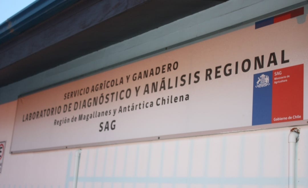 AFSAG Regional Magallanes denuncia entrega de comodato de bien inmueble de las dependencias del laboratorio de diagnóstico y análisis regional SAG