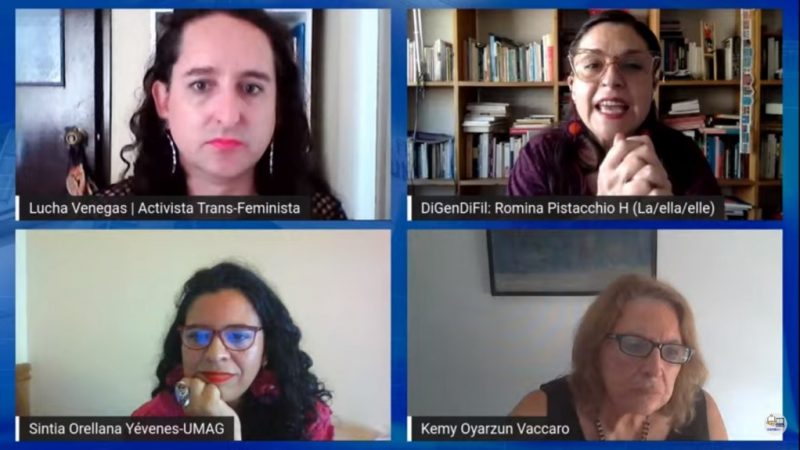 Conversatorio “Tejiéndonos entre la teoría y prácticas feministas” efectuaron la UMAG y la Universidad de Chile