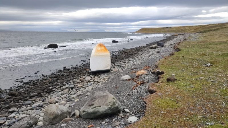 Sernapesca notifica a empresas acuícolas por contaminación de playa en isla Riesco en la región de Magallanes